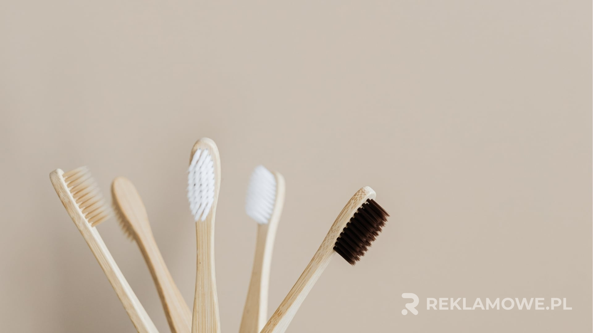 Porównanie topowych szczoteczek reklamowych w 2026 roku