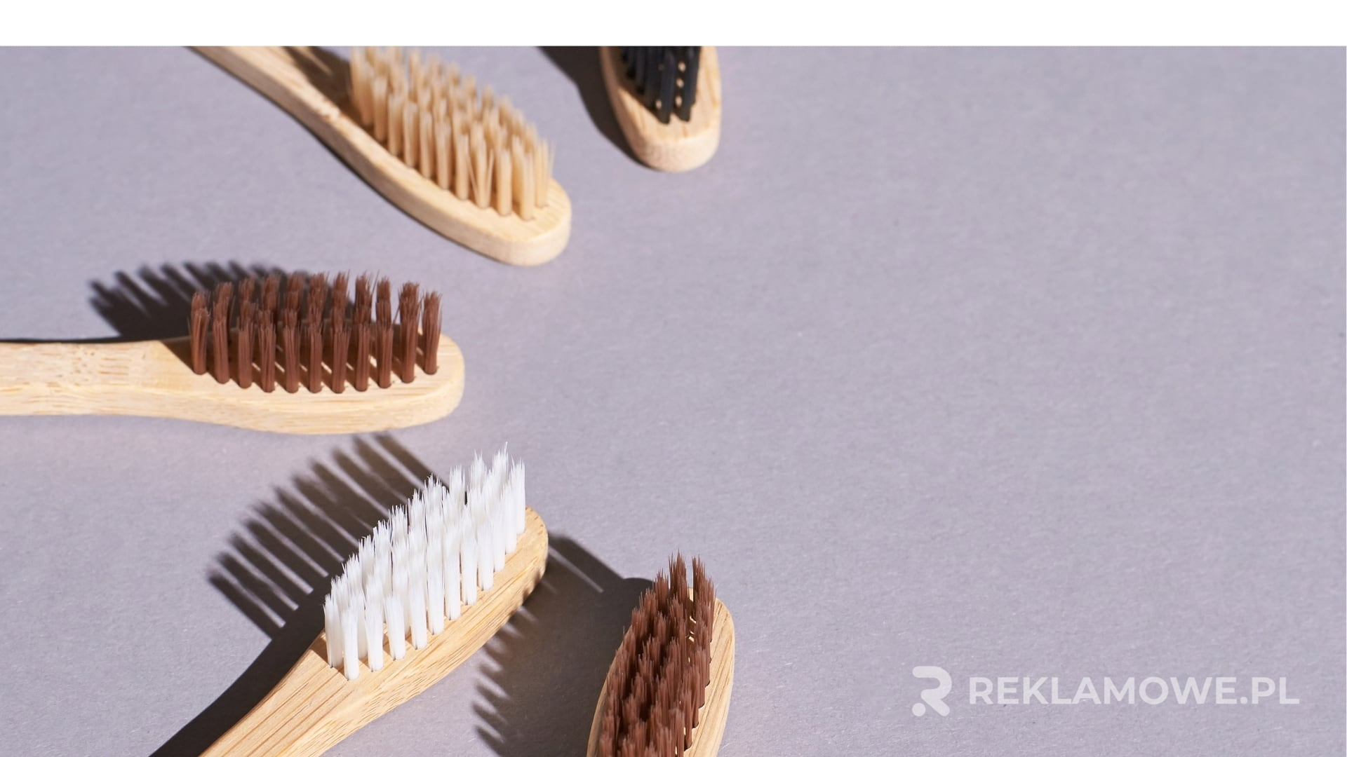 Trendy w projektowaniu szczoteczek reklamowych w 2025 roku Nowoczesne szczoteczki reklamowe